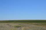 TBD State Highway 101 - Photo 12