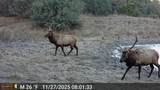 11730 Widow Woman Canyon Rd - Photo 32