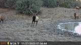 11730 Widow Woman Canyon Rd - Photo 34