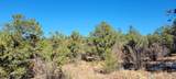 TBD El Toro Way - Photo 6