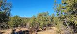 TBD El Toro Way - Photo 8