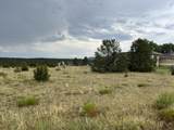 TBD Pinon Terrace Pkwy - Photo 15