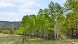 1785 Tibby Trail - Photo 44