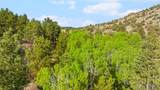 1785 Tibby Trail - Photo 47