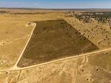 Par 60 Railroad Spring - Photo 13