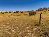 Par 60 Railroad Spring - Photo 4