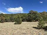 96 River Ridge Ranch - Photo 1