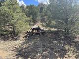 96 River Ridge Ranch - Photo 12