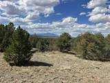 96 River Ridge Ranch - Photo 13