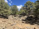 96 River Ridge Ranch - Photo 19
