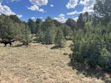96 River Ridge Ranch - Photo 2