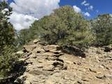96 River Ridge Ranch - Photo 25