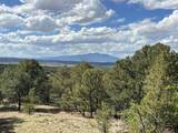 96 River Ridge Ranch - Photo 27