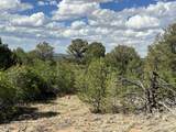 96 River Ridge Ranch - Photo 28