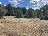 96 River Ridge Ranch - Photo 3