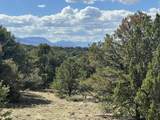 96 River Ridge Ranch - Photo 5