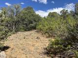 96 River Ridge Ranch - Photo 7