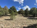 96 River Ridge Ranch - Photo 8