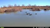 63400 Colorado 96 - Photo 29