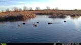 63400 Colorado 96 - Photo 31
