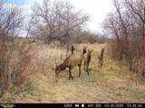 63400 Colorado 96 - Photo 33