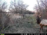 63400 Colorado 96 - Photo 34
