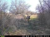 63400 Colorado 96 - Photo 35
