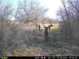 63400 Colorado 96 - Photo 36