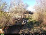 63400 Colorado 96 - Photo 37