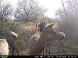 63400 Colorado 96 - Photo 38