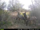 63400 Colorado 96 - Photo 39