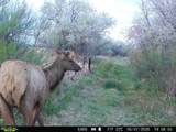 63400 Colorado 96 - Photo 40