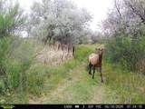 63400 Colorado 96 - Photo 41
