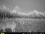 63400 Colorado 96 - Photo 42