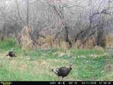 63400 Colorado 96 - Photo 43