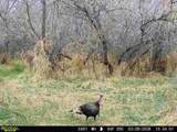63400 Colorado 96 - Photo 45