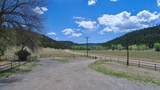 24351 County Road 54.2 - Photo 43