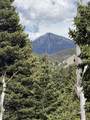  Baker Creek Road - Photo 1