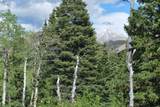  Baker Creek Road - Photo 12