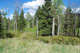  Baker Creek Road - Photo 13