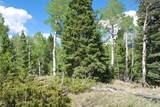  Baker Creek Road - Photo 16