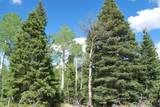  Baker Creek Road - Photo 17