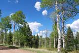  Baker Creek Road - Photo 19