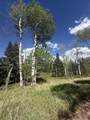  Baker Creek Road - Photo 4