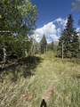  Baker Creek Road - Photo 5