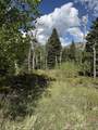  Baker Creek Road - Photo 6