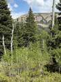  Baker Creek Road - Photo 8