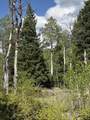  Baker Creek Road - Photo 9