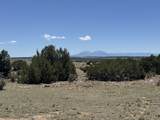 169 Tyrone Hills - Photo 1