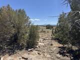 169 Tyrone Hills - Photo 11